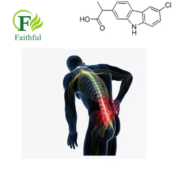 Carprofen, which can relieve pain Carprofen, which can relieve pain